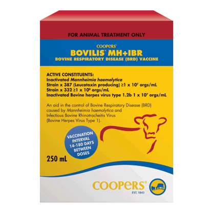 Bovilis MH + IBR Vaccine [250 mL]