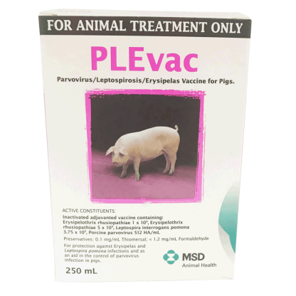 PLEvac Vaccine [250 mL]