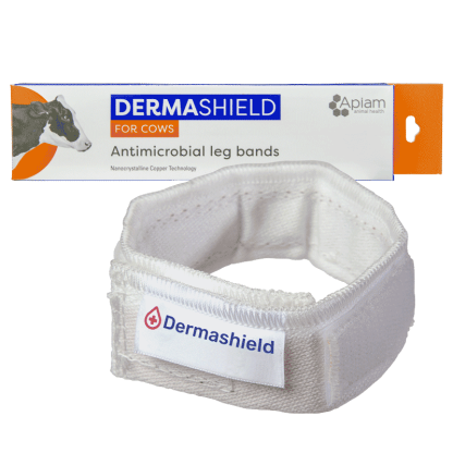 Dermashield Leg Band [2 Pack]