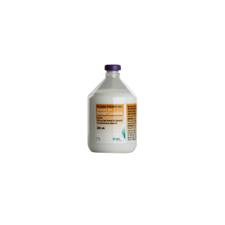 Porcilis Lawsonia Inactivated Vaccine Solvent 200mL [10 Pack]