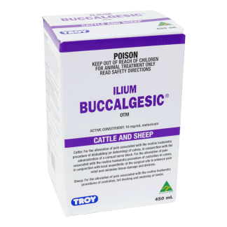 Ilium Buccalgesic OTM [450 mL]