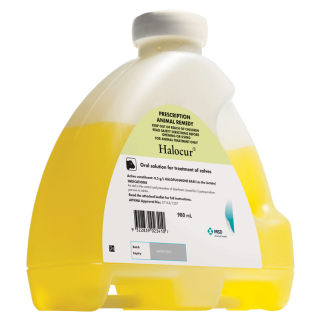 Halocur Solution [980 mL]