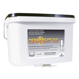 Ceprotect DC [120 Pack]
