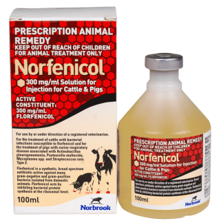 Norfenicol Injection [100 mL]