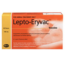 Lepto-Eryvac Vaccine [100 mL]