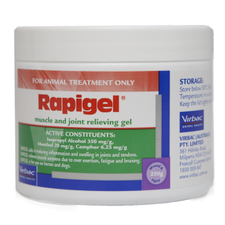 Rapigel [250 gm]