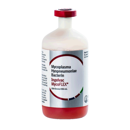 Ingelvac Mycoflex Vaccine [250 mL]