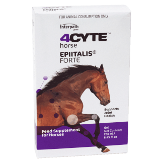 4CYTE Horse Epiitalis Forte Gel [250 mL]