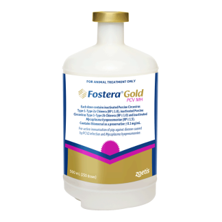 Fostera Gold PCV MH [500 mL]