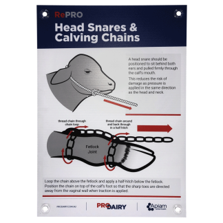 ProDairy Corflute A2 - RePRO Head Snares & Chains [Each]