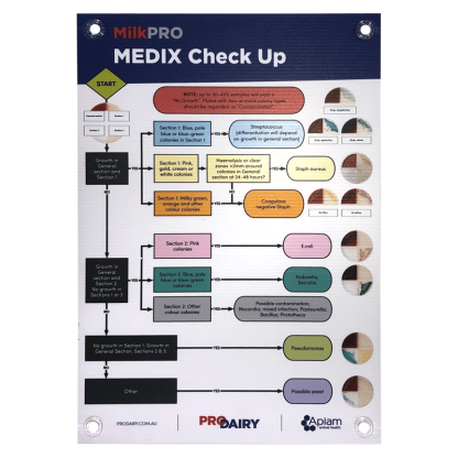 ProDairy Corflute A2 - HerdPRO MEDIX Checkup Growth Chart [Each]
