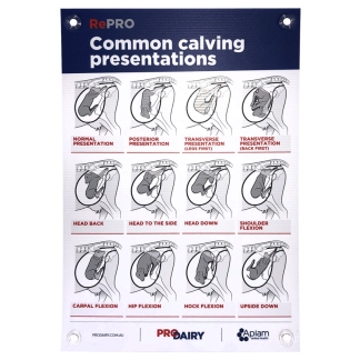 ProDairy Corflute A2 - RePRO Common Calving Presentations [Each]