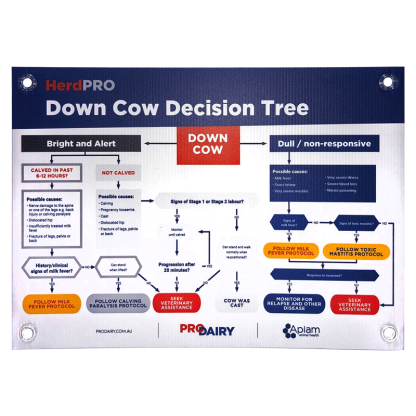 ProDairy Corflute A2 - HerdPRO Down Cow Decision Tree [Each]