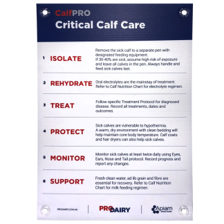 ProDairy Corflute A2 - CalfPRO Critical Calf Care [Each]