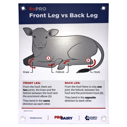 ProDairy Corflute A2 - RePRO Front vs Back Leg [Each]