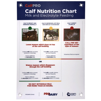 ProDairy Corflute A2 - CalfPRO Milk & Electrolyte Feeding [Each]