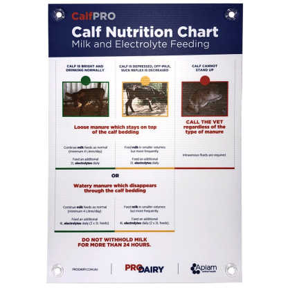 ProDairy Corflute A2 - CalfPRO Milk & Electrolyte Feeding [Each]