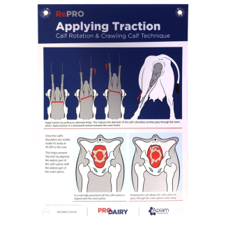 ProDairy Corflute A2 - RePRO Applying Traction [Each]