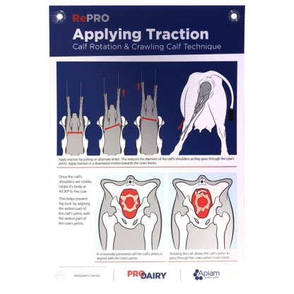 ProDairy Corflute A2 - RePRO Applying Traction [Each]