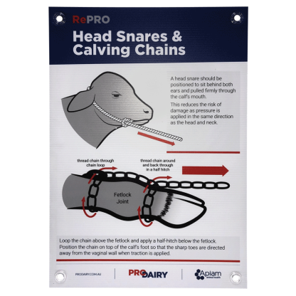 ProDairy Corflute A2 - RePRO Head Snares & Chains [Each]