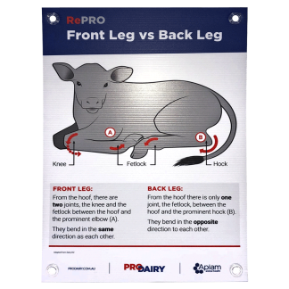ProDairy Corflute A2 - RePRO Front vs Back Leg [Each]