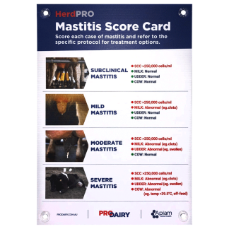 ProDairy Corflute A2 - HerdPRO Mastitis Scorecard [Each]