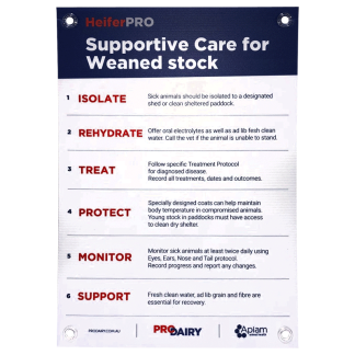 ProDairy Corflute A2 - HeiferPRO Supportive Care for Weaned Stock [Each]