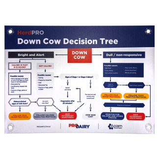 ProDairy Corflute A2 - HerdPRO Down Cow Decision Tree [Each]