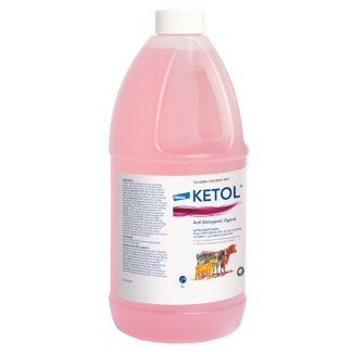 Ketol [2 L]