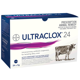 Ultraclox 24 for Lactating Cows [24 Pack]
