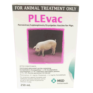 PLEvac Vaccine [250 mL]