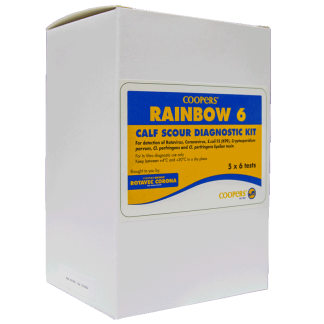Rainbow 6 Test Kit [5 Pack]