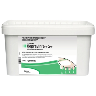 Cepravin Dry Cow [144 Pack]