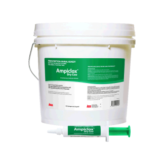 Ampiclox Dry Cow [200 Pack]