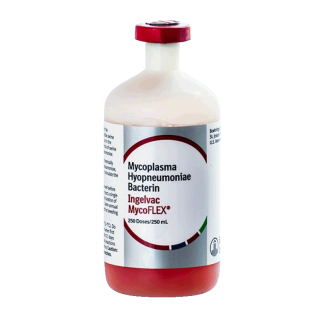Ingelvac Mycoflex Vaccine [250 mL]