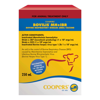 Bovilis MH + IBR Vaccine [250 mL]