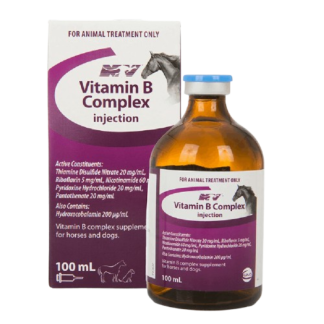 NV Vitamin B Complex Injection [100 mL]
