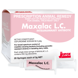 Maxalac Lactating Cow [20 Pack]