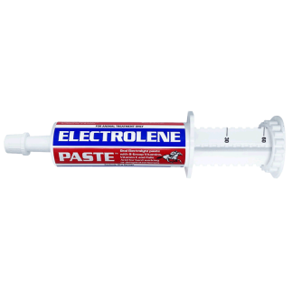 Electrolene Paste 60gm [Each]