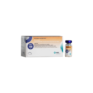 Porcilis Lawsonia Inactivated Vaccine for Pigs 100 Dose [10 Pack]
