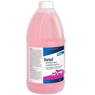 Ketol [2 L]